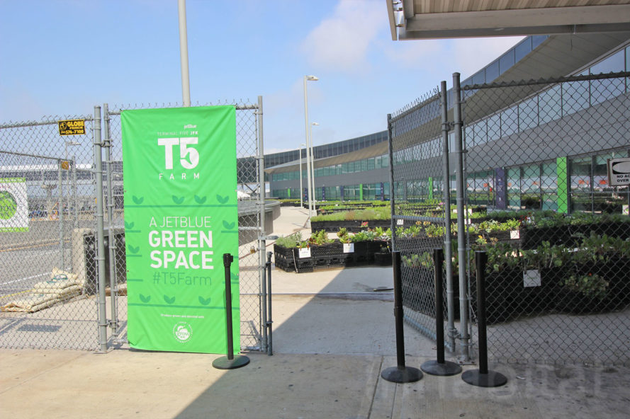 Jetblue Green space